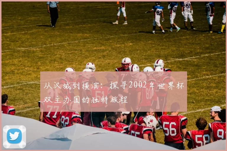 从汉城到横滨:探寻2002年世界杯双主办国的独特旅程