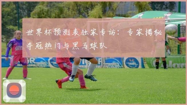 世界杯预测表独家专访:专家揭秘夺冠热门与黑马球队