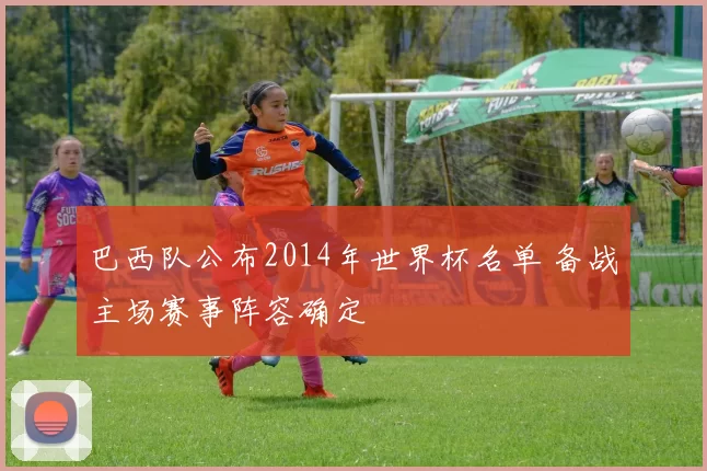 巴西队公布2014年世界杯名单 备战主场赛事阵容确定