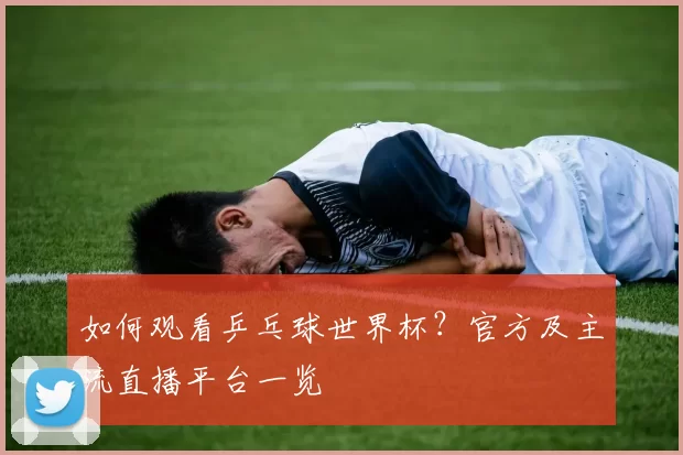 如何观看乒乓球世界杯?官方及主流直播平台一览