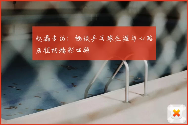 赵磊专访:畅谈乒乓球生涯与心路历程的精彩回顾