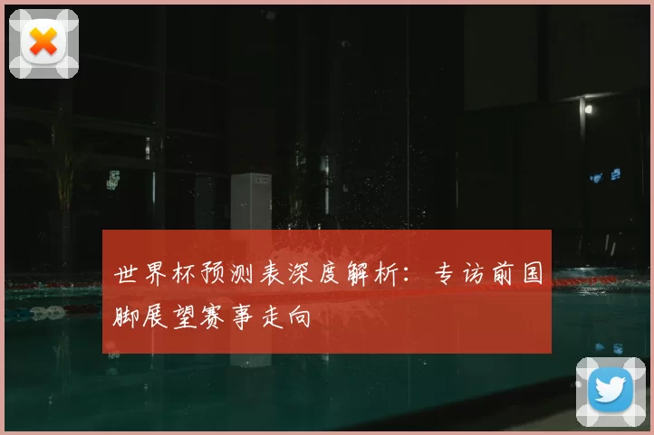 世界杯预测表深度解析:专访前国脚展望赛事走向
