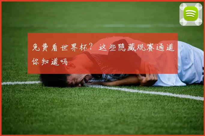 免费看世界杯?这些隐藏观赛通道你知道吗