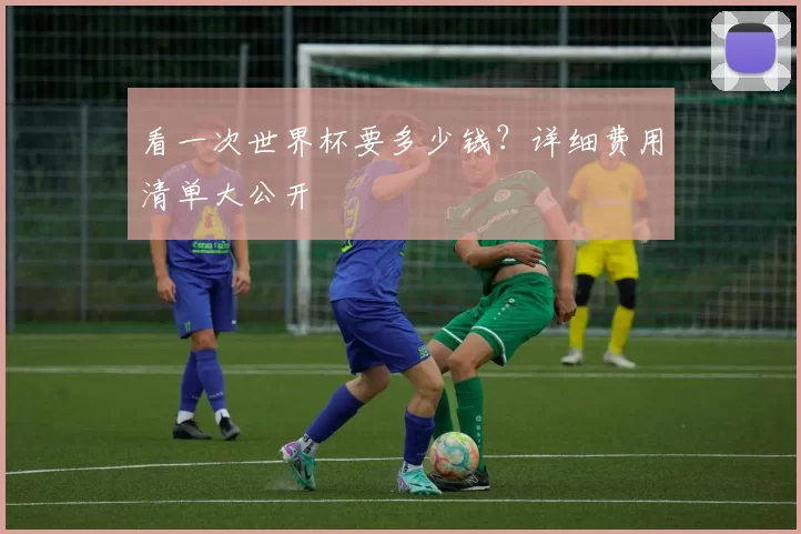 看一次世界杯要多少钱?详细费用清单大公开