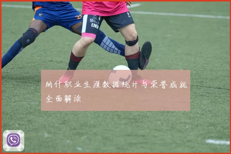 纳什职业生涯数据统计与荣誉成就全面解读
