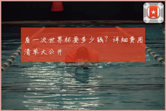 看一次世界杯要多少钱？详细费用清单大公开